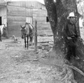 caballero