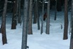 IMG_1487.JPG