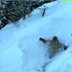 IMG_1538.JPG