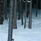 IMG_1594.JPG
